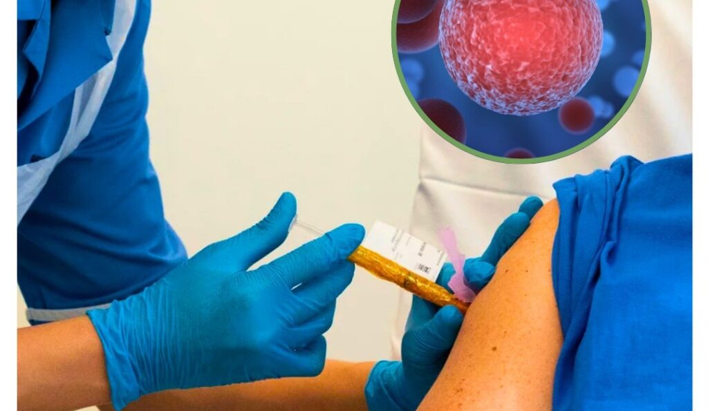 Immune system fighting cancer cells – natural health support concept